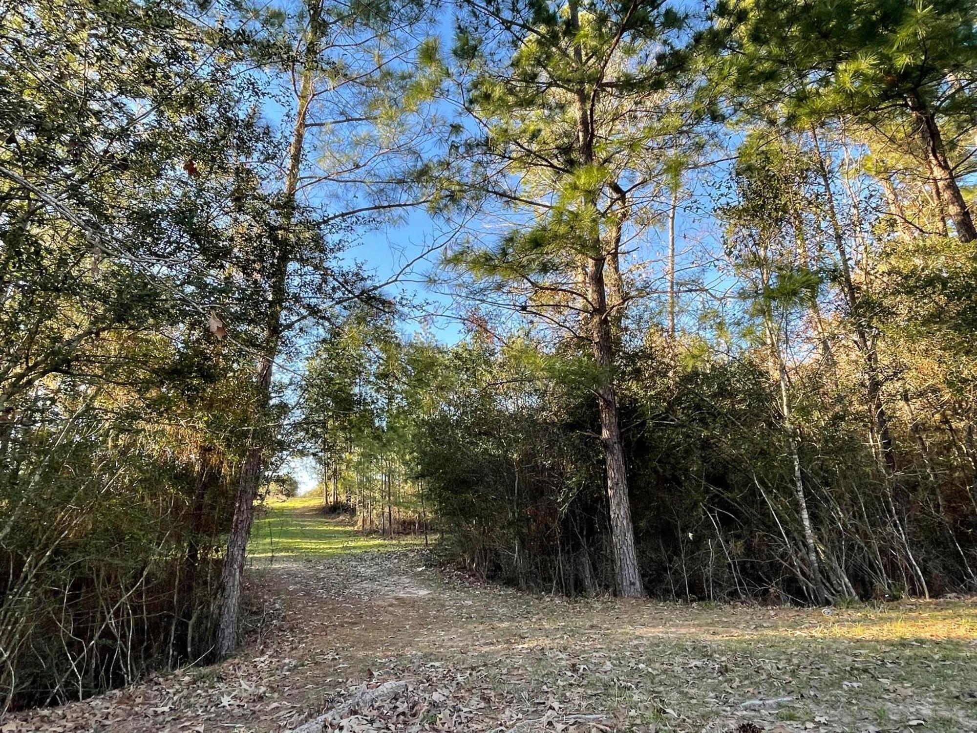 Country Getaway 4 Bedroom Resort In 10 Acre Lot Magnolia Esterno foto
