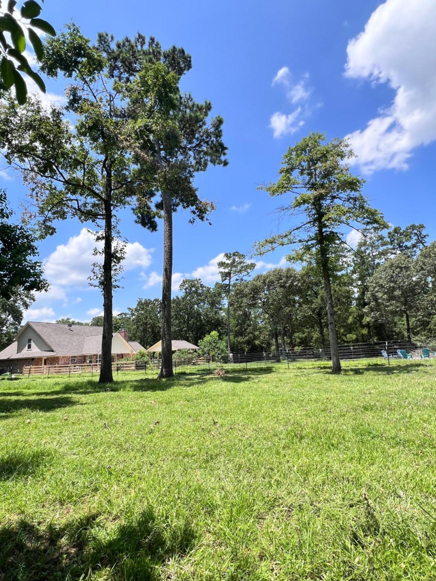 Country Getaway 4 Bedroom Resort In 10 Acre Lot Magnolia Esterno foto